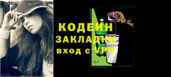 твердый Новозыбков