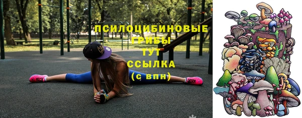 стафф Новодвинск