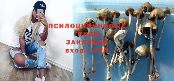 спиды Кохма