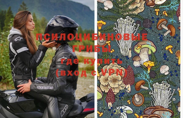 мяу мяу мука Нязепетровск